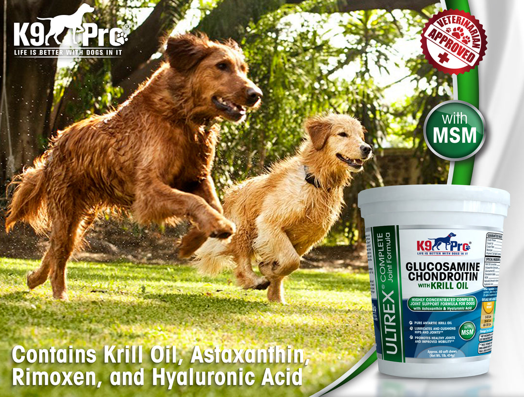 ULTREX Glucosamine Dog Joint Supplement with Krill Fish Oil Chondroitin MSM & Astaxanthin In A Tasty Chewable Treat Dogs Love - k9pro-store